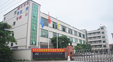 热烈欢迎渠县县委领导莅临我司参观指导！